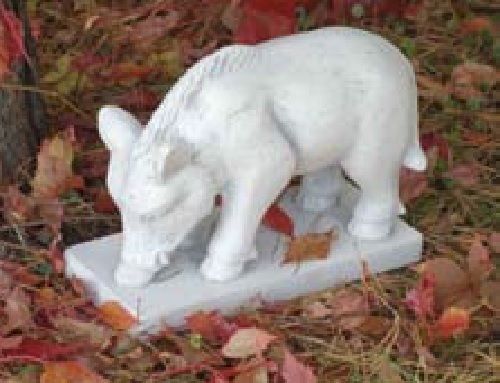 Wildschwein - , (s103041)