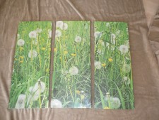 Leinwandbild Pusteblume , Löwenzahn Blüte Natur 3 teilig  72cm x 60cm#