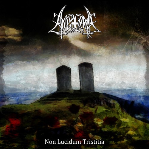 Amezarak non lucidum - -,