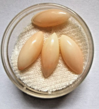 Koralle Cabochon Engelshaut Angel Skin Navette,  Nr. 8