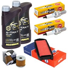 Wartung Öl 2L Set für