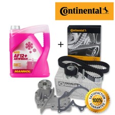 OEM ZAHNRIEMENSATZ CT881 WAPU