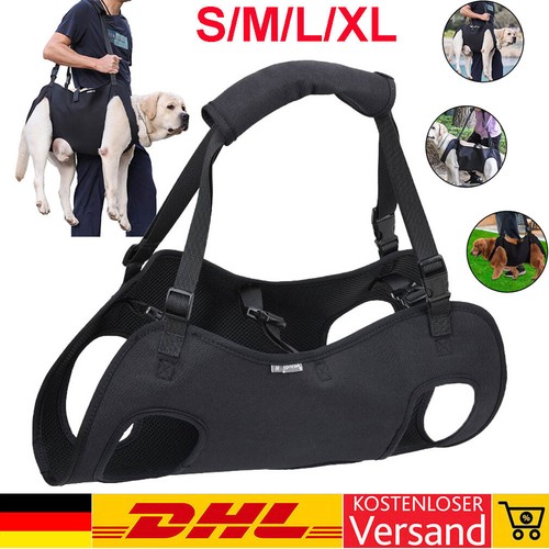 Hundetransporter älterer