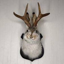 Jackalope Statue Wall Mount