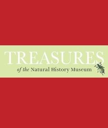 Treasures the natural - treasures,