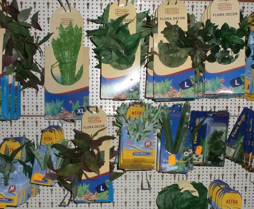 Europet aquarienpflanze - europet,