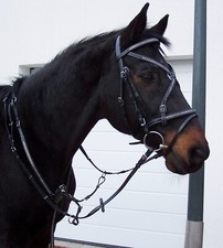 Rittertrense Ritterzaum