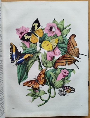 Buch der welt natur - natur, geographie