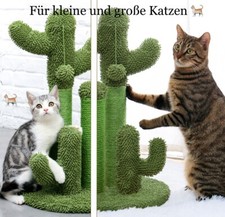 Katzenkratzbaum Kratzkaktus