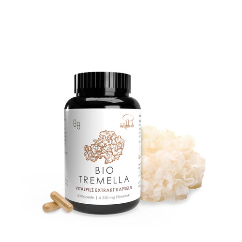 Pilze wohlrab tremella - pilze, |