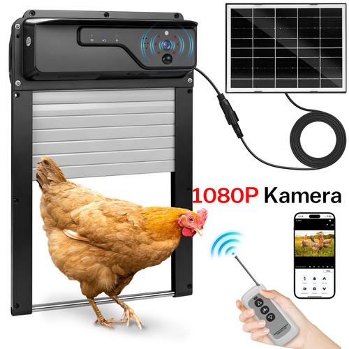 Hühnerklappe 1080pkamera - hühnerklappe,