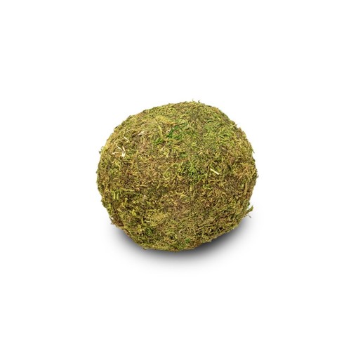 Nadeco moos ball - moos, Ø