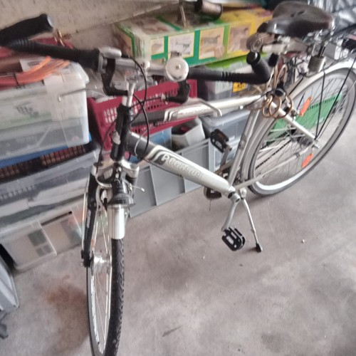 Pegasus fahrrad zoll herren - pegasus,