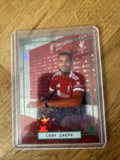Cody gakpo liverpool focus - cody,