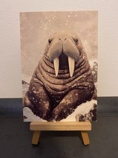 Postkarte motivkarte walross - postkarte, motivkarte,