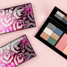 Mary Kay Perfect Palette leer