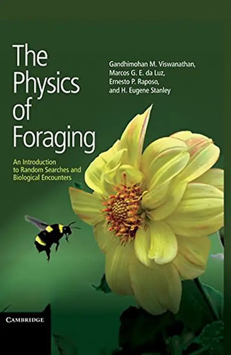 The physics foraging an - physics, of