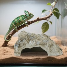 Terrarienzubehör