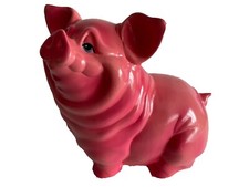 Sparschwein   Spardose  aus