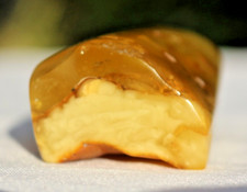 Rohbernstein Bernstein