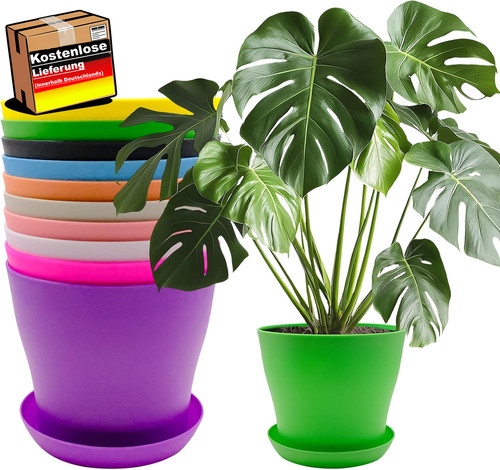 Blumentopf set 14cm - set, mit