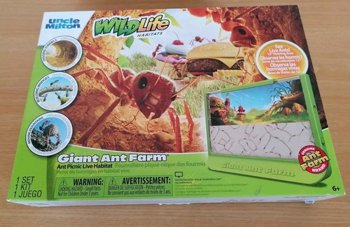 Riesige ameisenfarm mit - riesige,