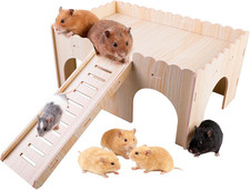 Groß Meerschweinchen Haus -