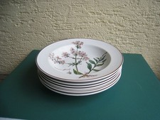 Villeroy & Boch Botanica Suppenteller Valeriana officinalis 22 cm - 6 Stück