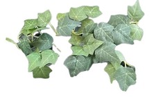 2 Ranke Efeu 20cm für Kranz Schalen Flaschen Herbst Deko Floral künstlich