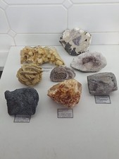 Mineraliensammlung Silizium Eisenglimmer Labradorit Validität/Baryt Sandrose.. X