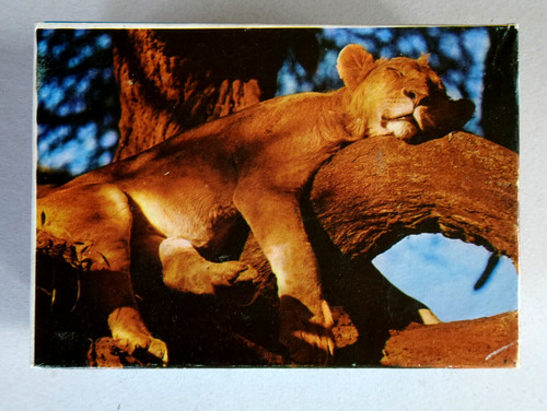 Ddr annaberger puzzle - annaberger,
