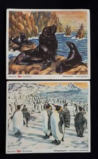 VOSS Margarine Kunstbilder