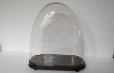 Glas Dom Kuppel Holz Sockel