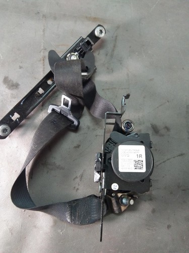 Dodge charger 2015 lift - charger, 2015+