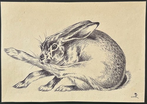Hasenwäsche zeichnung - "hasenwäsche",