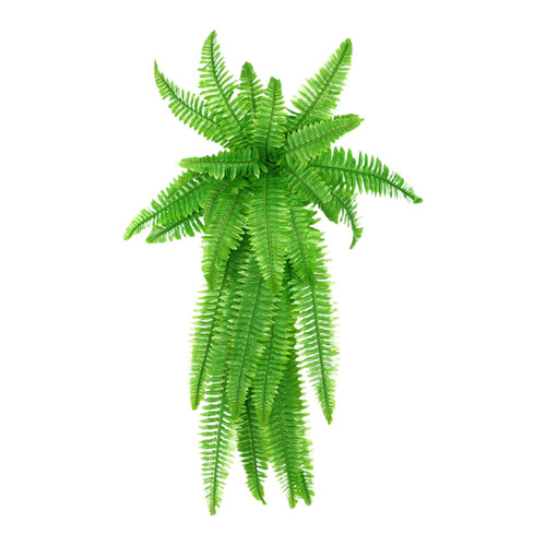 Reptilien terrarium - reptilien,