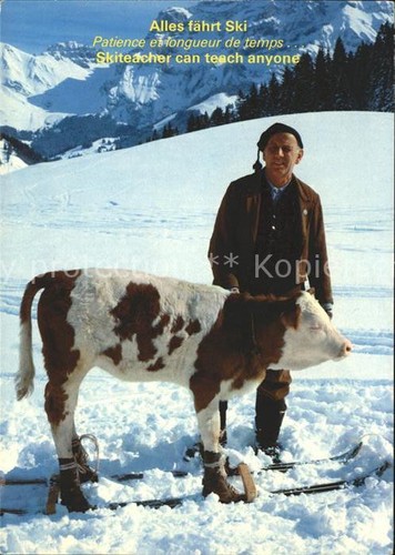 Skifahren kalb rind - skifahren,
