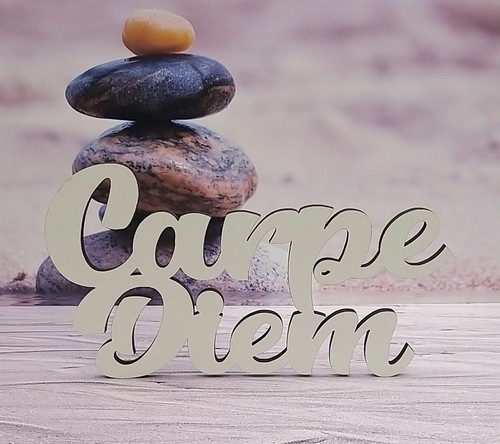 Schriftzug carpe diem nutze - schriftzug,