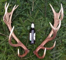 schönes Paar Abwurfstangen