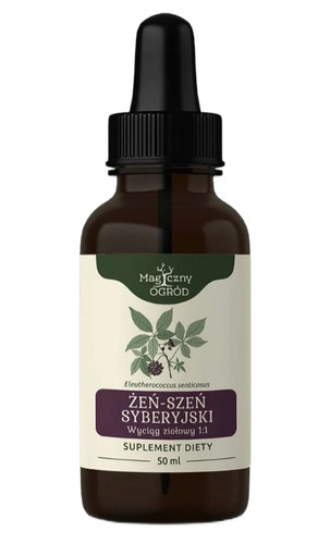 Nanga sibirischer ginseng - nanga,
