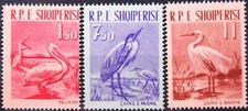 ALBANIA ALBANIEN 1961 630-32 Vögel Birds Fauna Pelikan Graureiher Seidenreiher**