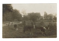 W04 IDYLLE AUS BERLIN BAUERNHOF 1926 n. POTSDAM RUTH STAHLMANN ORIGINAL RARITÄT