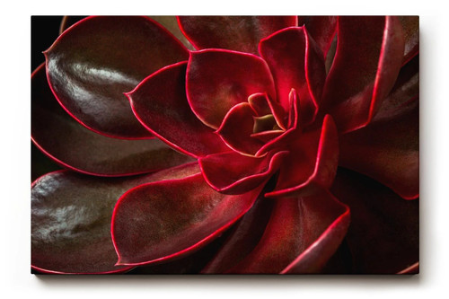 Sinus art wandbild - art, modernes