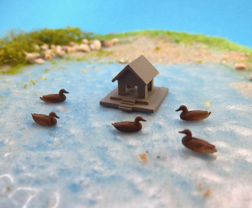 Entenhaus enten foto - enten, (1:160)