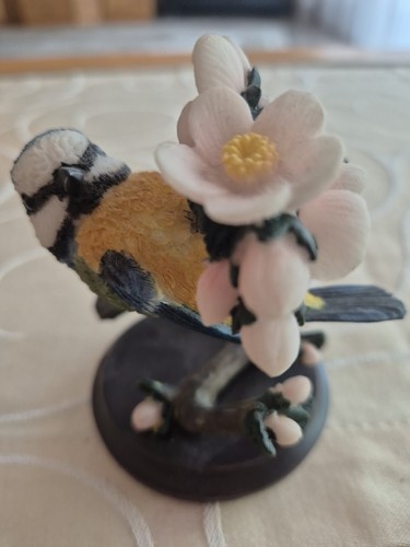 Schöne vogelwelt collection - schöne,