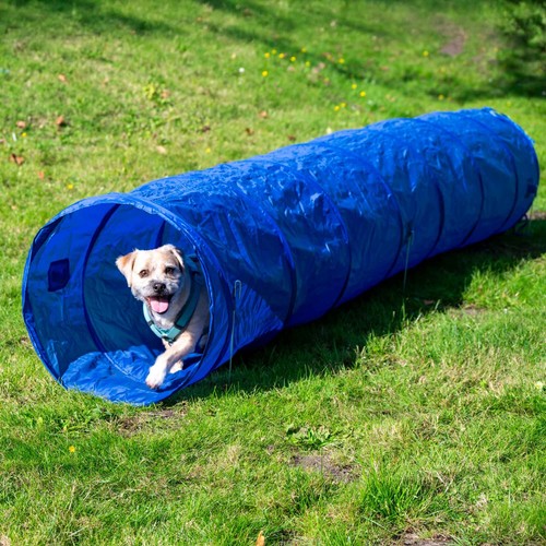 Agility hunde tunnel - agility, hunde-tunnel