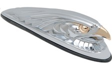 Adlerkopf mit Goldaugen