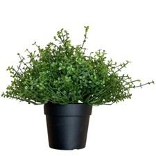 IKEA FEJKA Topfpflanze,künstlich,drinnen/draußen Bubikopf Kunstpflanzen 9cm NEU