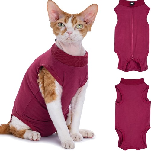 Katzenbody nach katze - op,