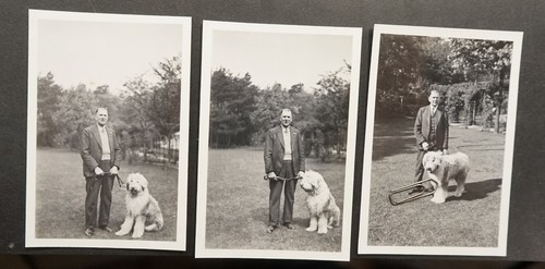 Foto portrait mann - mann, hund